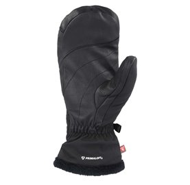 Ashly Ski Alpin Mitten Glove black GTX