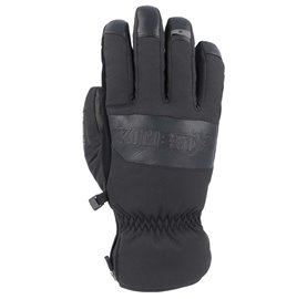Blake Ski Alpin Glove black GTX aktue